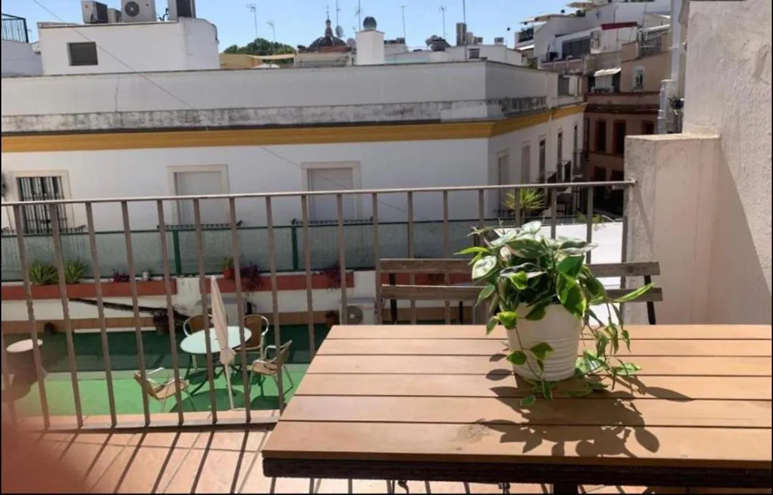 Santillana Terrazas Sewilla